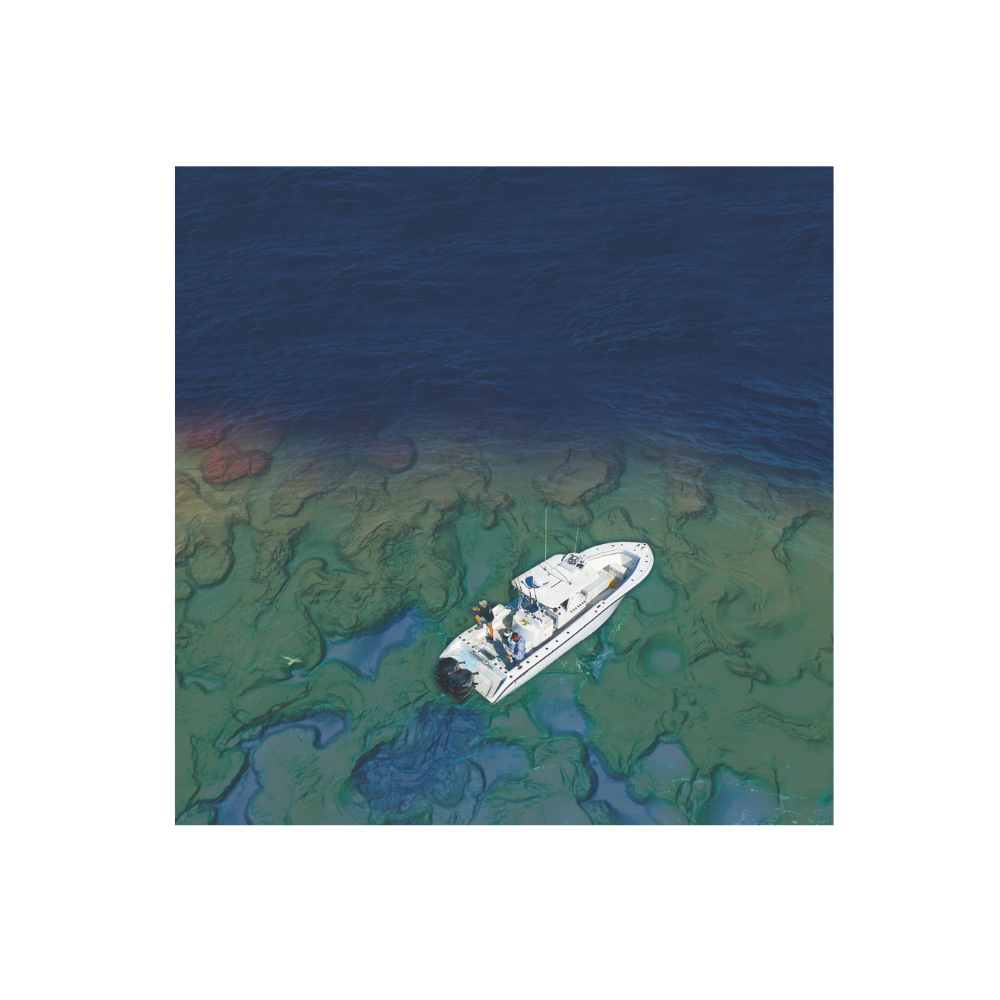 C-MAP Reveal X NZ ( Exclusively For Simrad NSX )